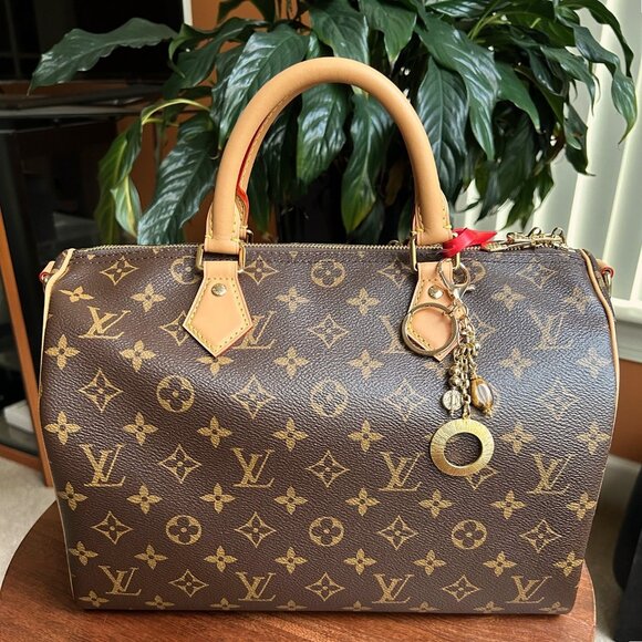 TIGER'S EYE CIRCLE Bag Charm Brown and Gold Tone 🐆 - Picture 4 of 8